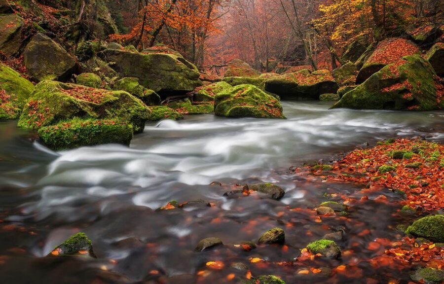 Bohemian Switzerland: Private Day Trip from Prague - From Prague To Bohemian Switzerland, What the Private Format Means