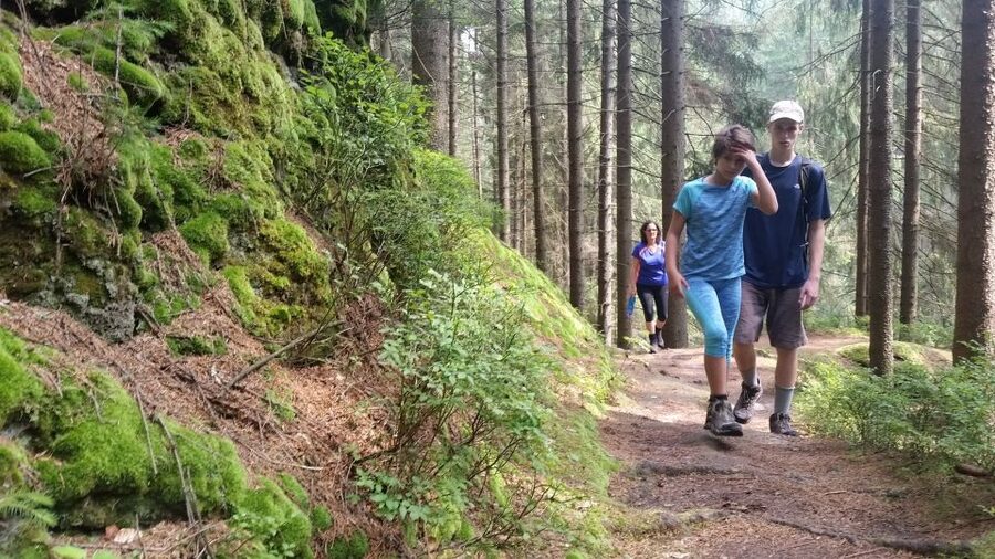Bohemian Switzerland: Private Day Trip from Prague - How the Hiking Tour Feels: Customized, Patient, and Pace-Friendly