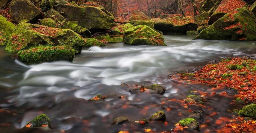 Bohemian Switzerland: Private Day Trip from Prague - Should You Book This Bohemian Switzerland Private Day Trip From Prague?