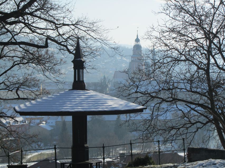 Český Krumlov: 2 Hour Private Walking Tour with Guide - Medieval Houses and Latrán Quarters: Where Architecture Does the Talking