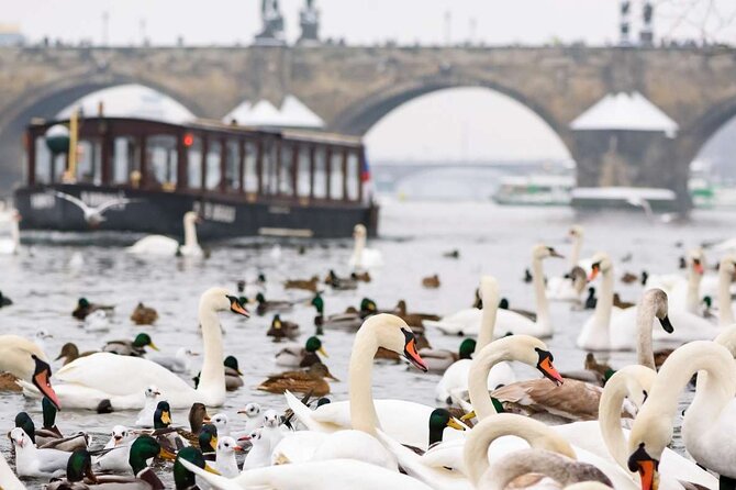 Charles Bridge: River Boat Cruise & Guided Tour ️with PragueWay - Devil’s Channel Boat Ride on the Vltava: What You’ll Actually See