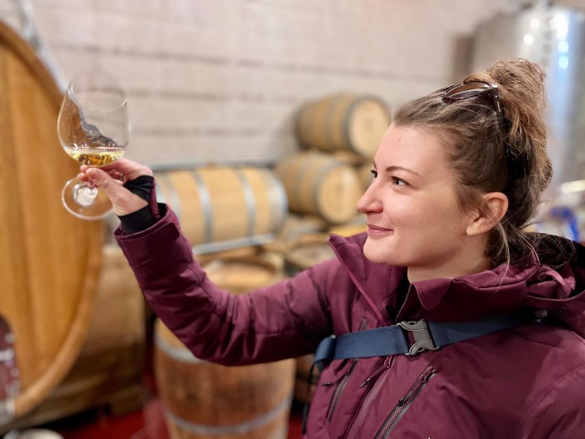 Czech Vineyards and Wine Tasting 4WD Tour with Lunch - Winery Time: Welcome Drink, Barrel Photos, and Guided Tasting