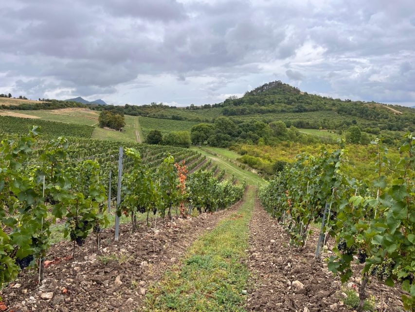 Czech Vineyards and Wine Tasting 4WD Tour with Lunch - Lunch in the Countryside: Czech Food, Unlimited Beer, and Castle Views