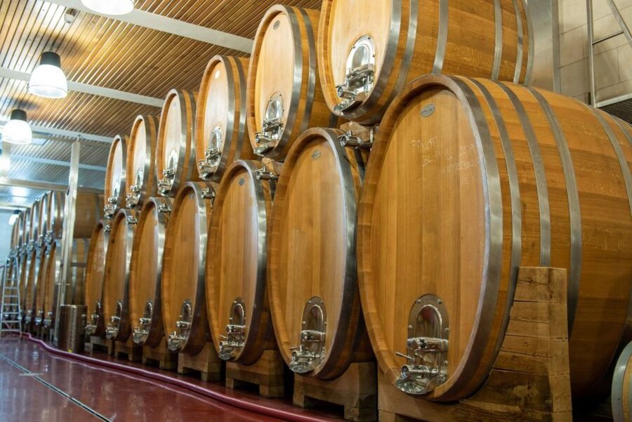 Czech Vineyards and Wine Tasting 4WD Tour with Lunch - Vineyards and Scenic Stops: Comparing What the Ground Does