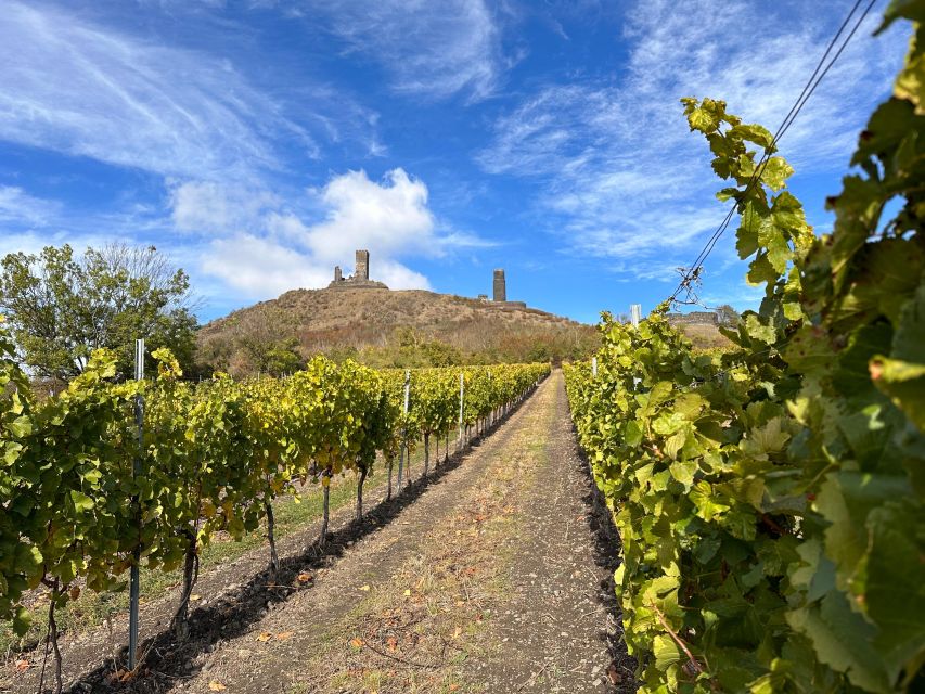 Czech Vineyards and Wine Tasting 4WD Tour with Lunch - The Gothic Castles and a Hidden Jewish Cemetery