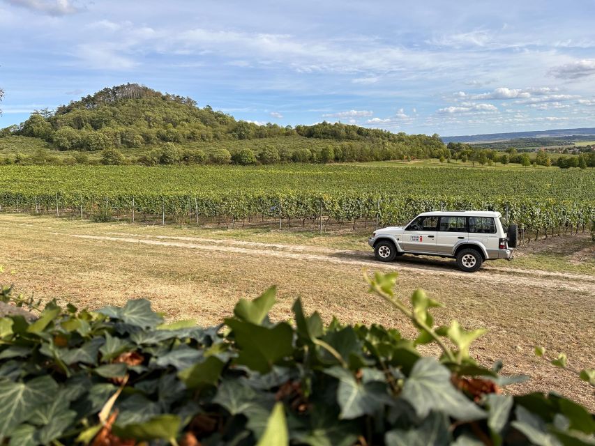 Czech Vineyards and Wine Tasting 4WD Tour with Lunch - Ask Anything: Czech Traditions Through Wine and History
