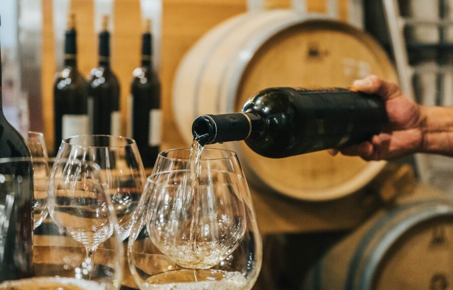 Czech Vineyards and Wine Tasting 4WD Tour with Lunch - Price and Value: What $387 Buys for a 7-Hour Small-Group Day