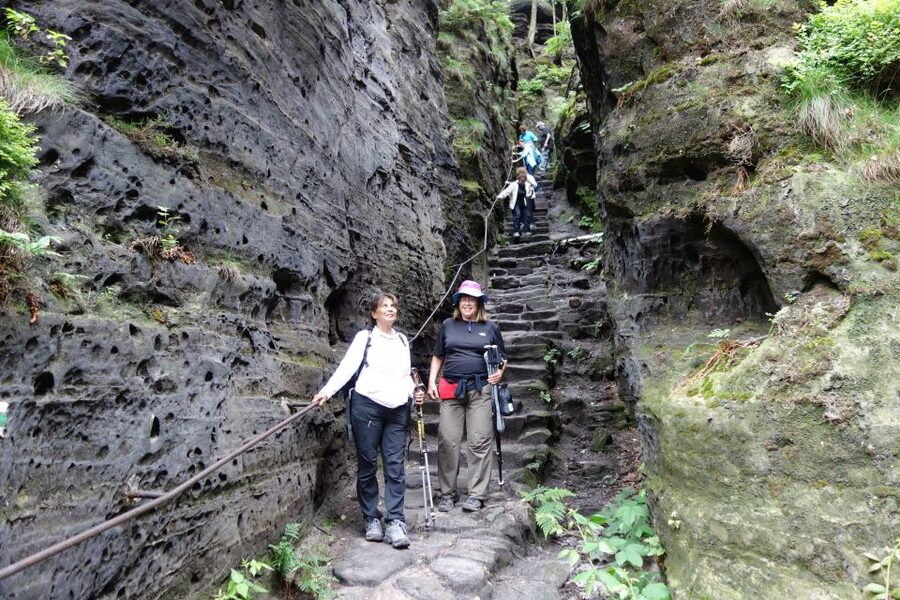 From Prague: Bohemian & Saxon Switzerland All Inclusive Tour - Walking reality check: steep paths, stairs, and how to prepare