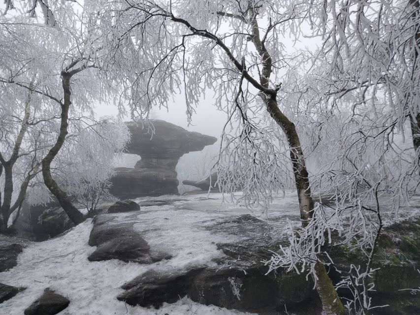 From Prague: Bohemian & Saxon Switzerland Iconic Day Trip - Tisa Rocks: where the walk gets more technical