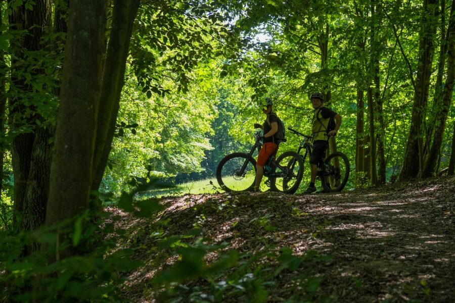 From Prague: E-Mountain Biking Trip to the Bohemian Paradise - Kingdom Come: Deliverance 2 stops in real life