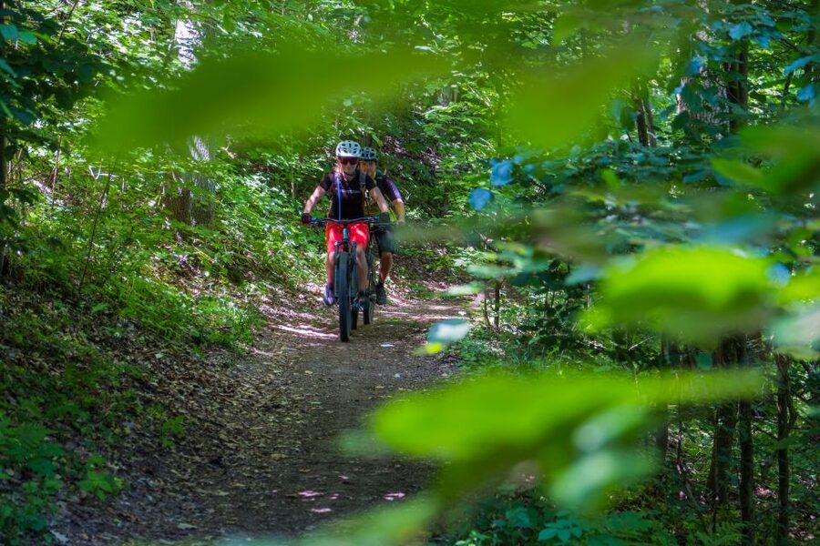 From Prague: E-Mountain Biking Trip to the Bohemian Paradise - Nebakov lakeside lunch: the downhill that earns your appetite