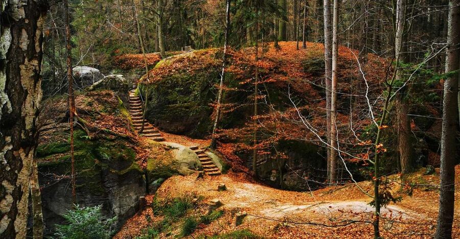 From Prague: Full-Day Bohemian Paradise Guided Hiking Trip - Valdštejn Castle: Where the Hike Gets Historical