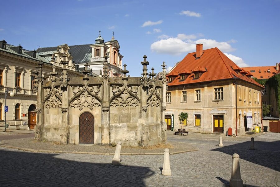 From Prague: Private Day Trip to Kutna Hora with Czech Lunch - A 7-hour Prague to Kutná Hora day trip with a private driver