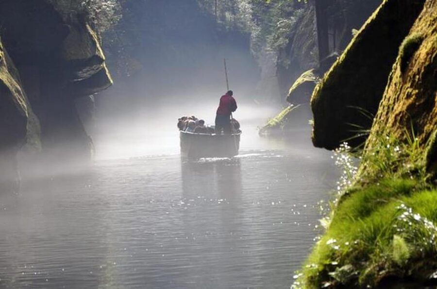 From Prague: Tour to Saxon and Bohemian Switzerland - Lunch in the Forest: Simple, Local, and Actually Part of the Day