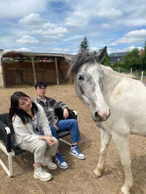 Horseback riding tour near Prague - Key highlights you will care about