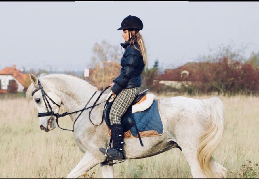 Horseback riding tour near Prague - The horses and the “bitless” promise you should understand