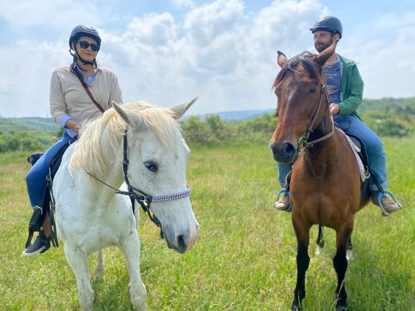 Horseback riding tour near Prague - Walking pace only: why the ride feels slow, and why that is the point