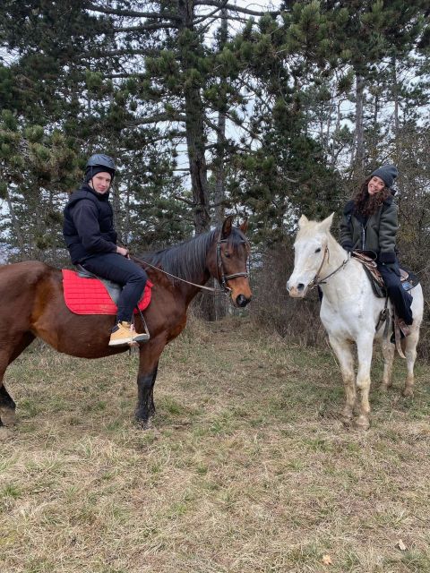 Horseback riding tour near Prague - Safety and limits: what to know before you book