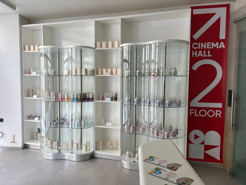 Karlovy Vary: Tourist Cinema Experience - Who Should Book This, and Who Might Skip It?
