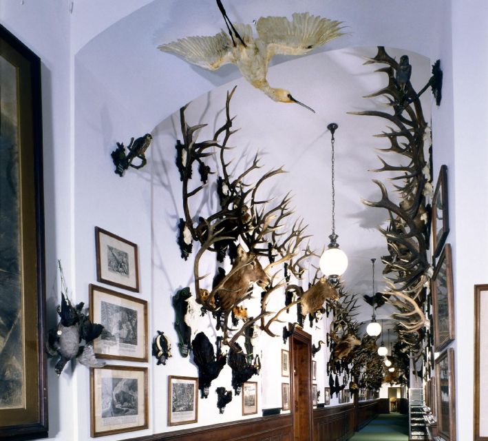 Konopiště: Chateau Tour from Prague - What kind of traveler should book Konopiště from Prague?