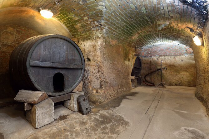 Pilsen Historic Underground Tour with a Glass of Beer - Why Pilsen’s Underground Tour Feels Like Real History, Not Just Sightseeing