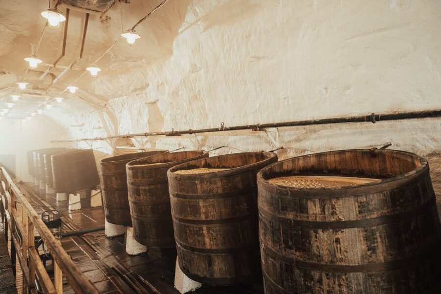 Pilsen: Pilsner Urquell Brewery Tour with Beer Tasting - Key highlights that make this tour worth your time