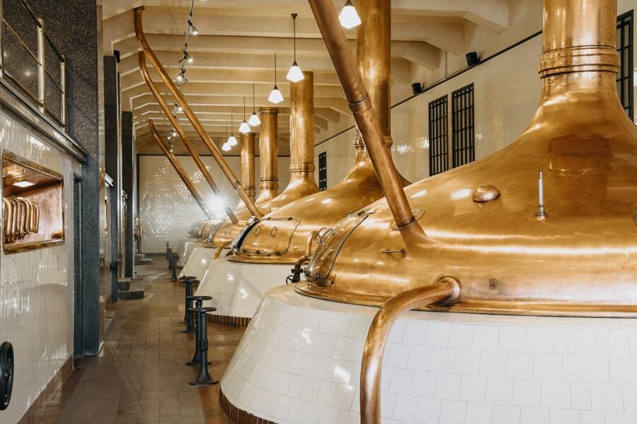 Pilsen: Pilsner Urquell Brewery Tour with Beer Tasting - Who should book this tour, and who might want another option