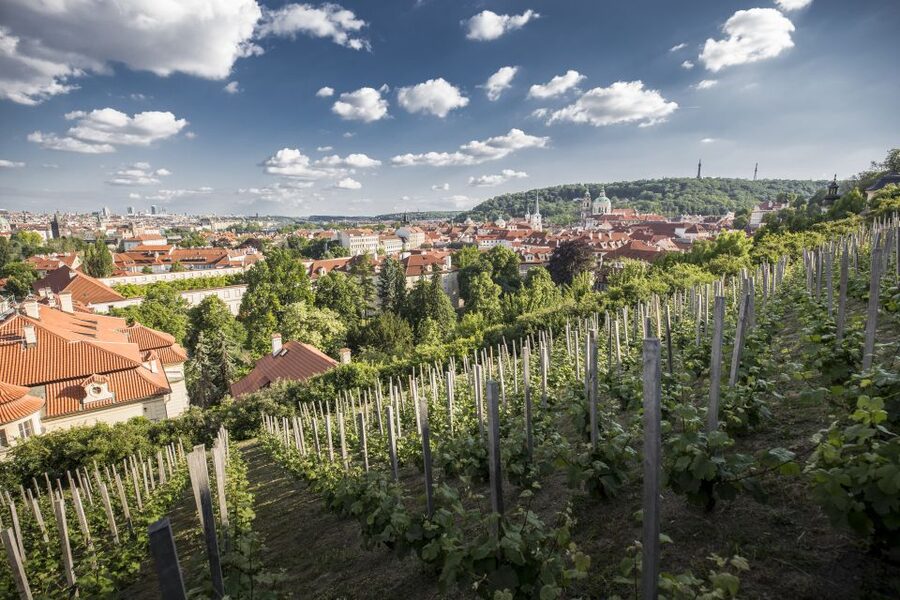 Prague: 3–Hour Castle Grounds Walking Tour and River Cruise - Starting at Týnská Street, then sliding into Prague’s main showpieces