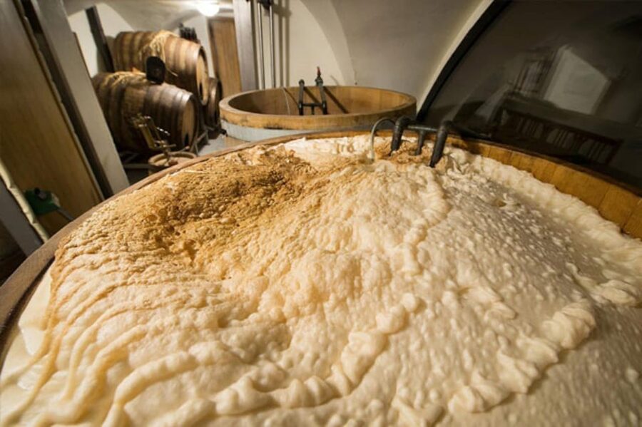 Prague: Beer Tasting and Brewery Tour - Czech beer culture lessons you will actually use at a pub