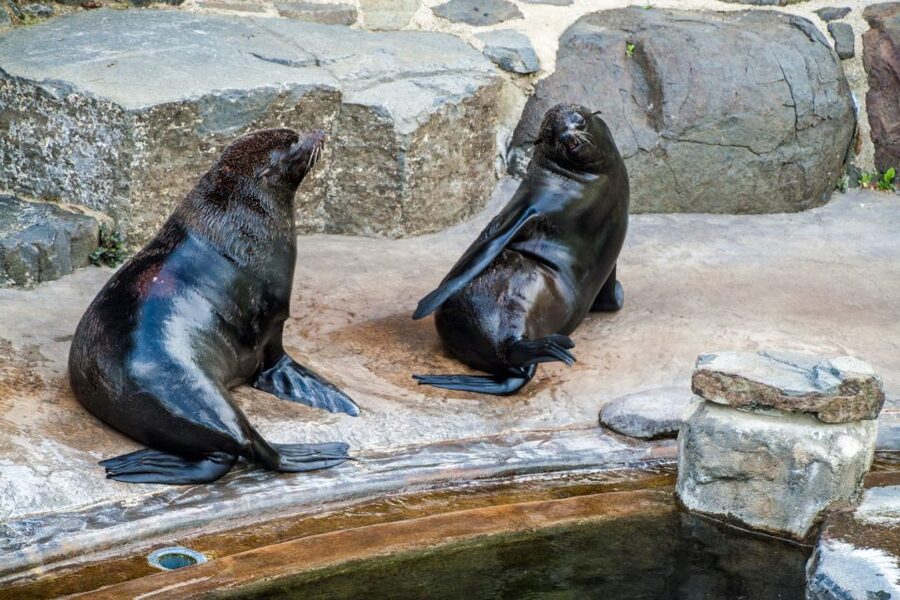 Prague: Boat Ride to the Zoo and Admission Ticket - Key things to know before you go
