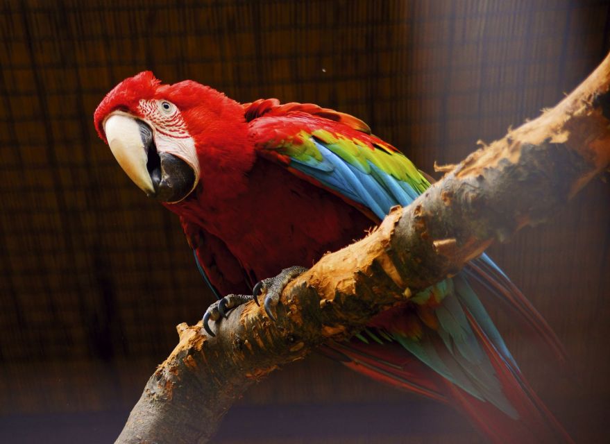 Prague: Boat Ride to the Zoo and Admission Ticket - Price and Value: What You Get for Around $74