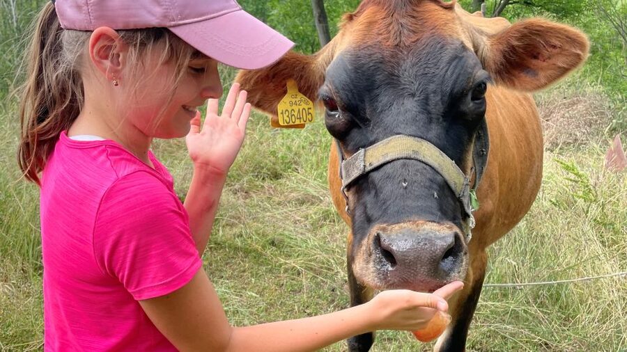 Prague: Bohemian Uplands Garnet Panning&Animal Farm 4WD Tour - Lunch at 2 PM with unlimited Czech beer and big castle views