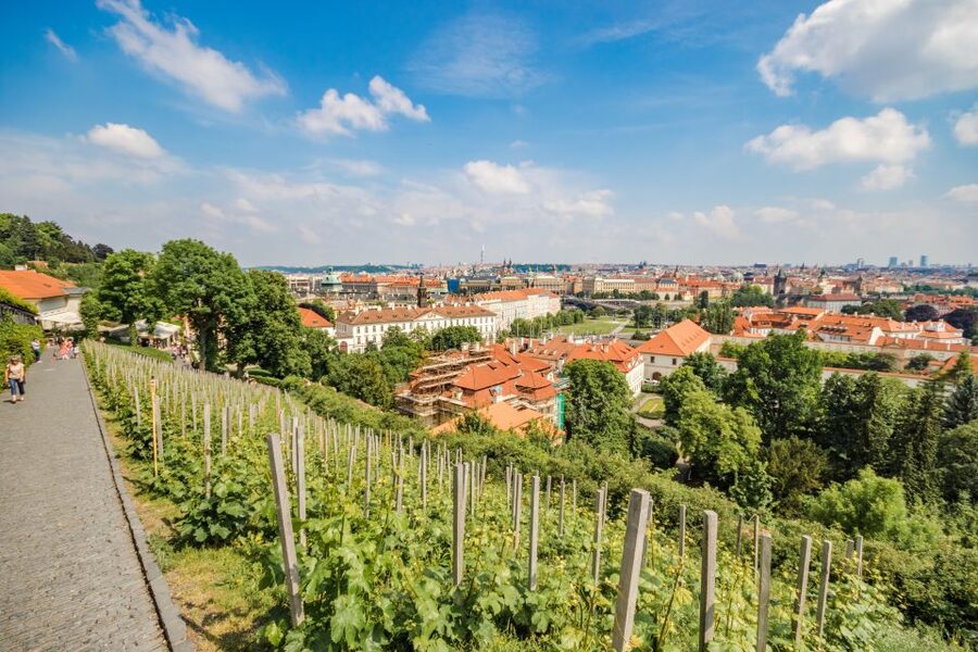 Prague Castle 2.5-Hour Tour Including Admission Ticket - Key highlights worth showing up for