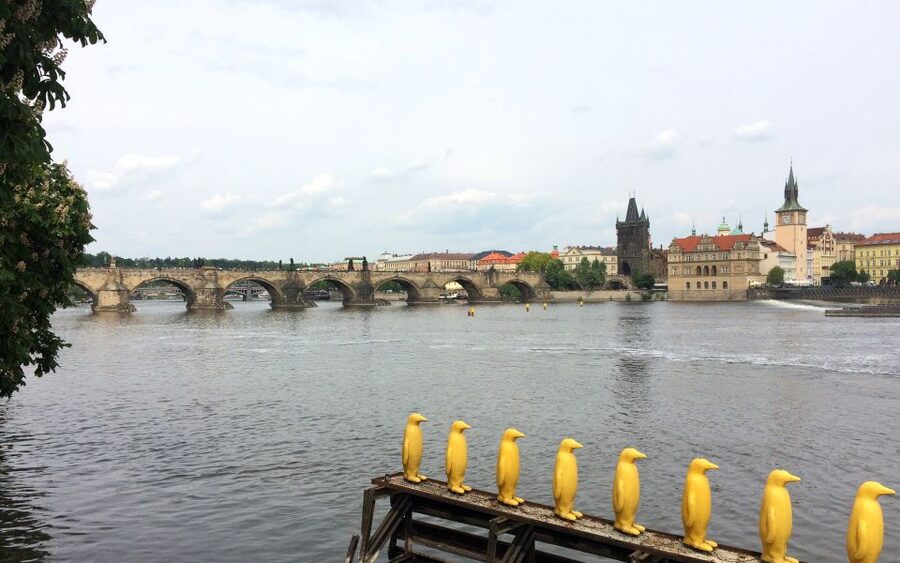 Prague: Classic City Bike Tour - Municipal House and New Town: a fast primer in how Prague puts on its best face