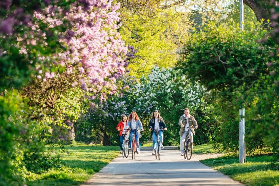 Prague: Complete Bike Tour - Price and Value: Is $45 for 3 Hours a Good Deal?