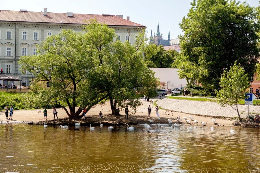 Prague Cruise: 1-Hour on the River Vltava - Onboard refreshments and crew help: keep it simple
