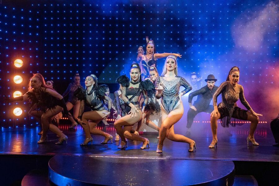 Prague: Evening Czech Cabaret Show at the Hybernia Theater - Theater Rules and Practical Limits (So You Do Not Get Turned Away)