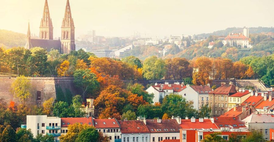 Prague: Guided tour to the historic fortress of Vyšehrad - St. Peter and St. Paul Basilica: Neo-Gothic Details to Actually Notice