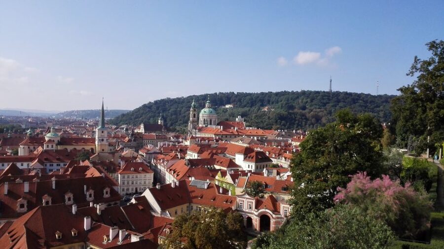 Prague Half-Day City Tour by Car - The Local Guide Advantage, Including What the Reviews Highlight Most