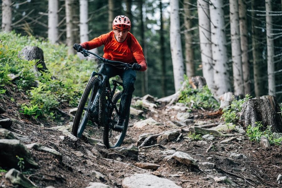 Prague Mountain Biking: Blast Through The Best Singletracks - How Your Guide Picks Trails: Upclimbs for Fitness, Descents for Fun