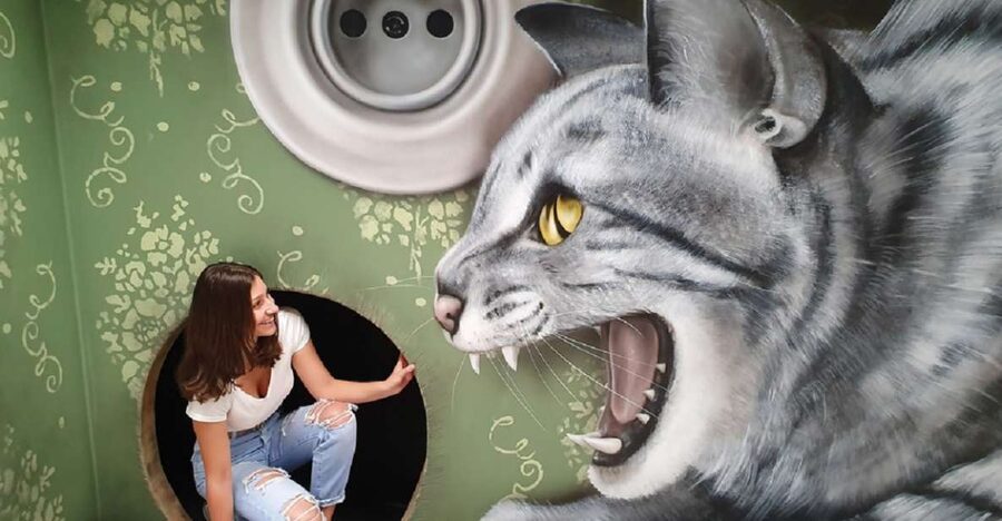 Prague: Museum of Fantastic Illusions Entry Ticket - Value check: is $17 worth it?