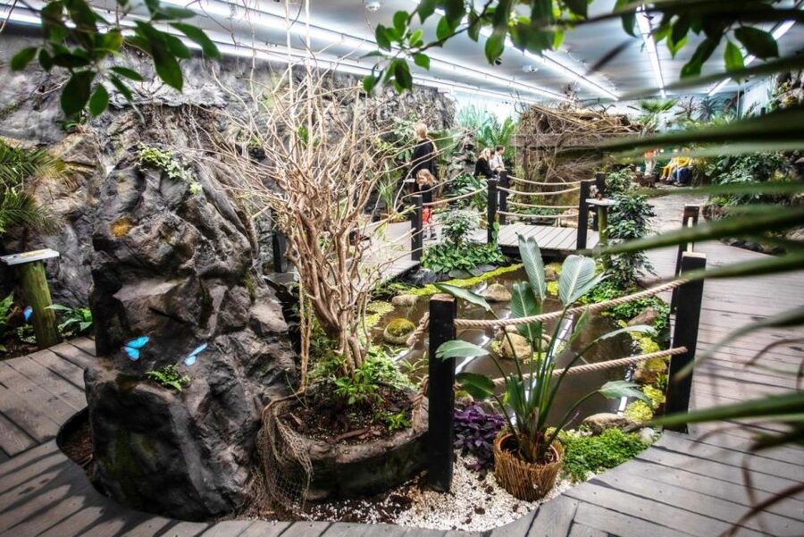 Prague: Papilonia Butterfly House - Family reality check, kids, rules, and wing-friendly behavior