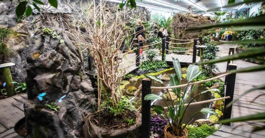 Prague: Papilonia Butterfly House - Where to find it on the Playground first floor