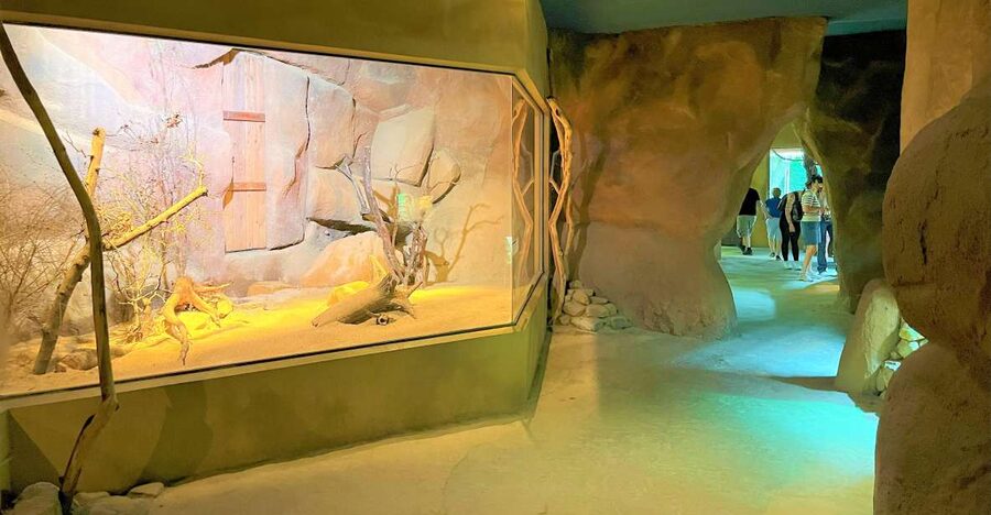 Prague: Prague Zoo Audio Guide with E-Ticket - The one rule you cannot ignore: Internet needed for the audio guide