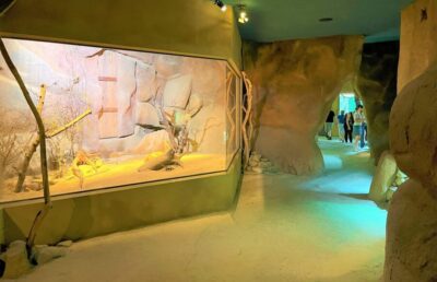 Prague Zoo Audio Guide with E-Ticket