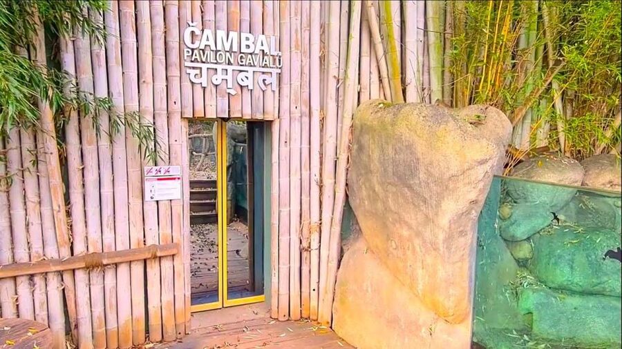 Prague: Prague Zoo Audio Guide with E-Ticket - What the history and pavilion narration adds to your day