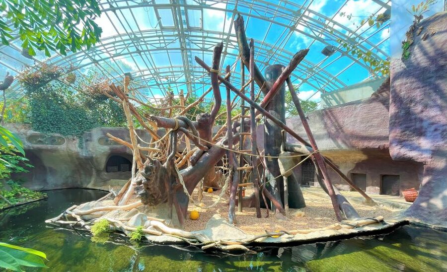 Prague: Prague Zoo Audio Guide with E-Ticket - Food, toilets, and a realistic plan for a 1-day visit