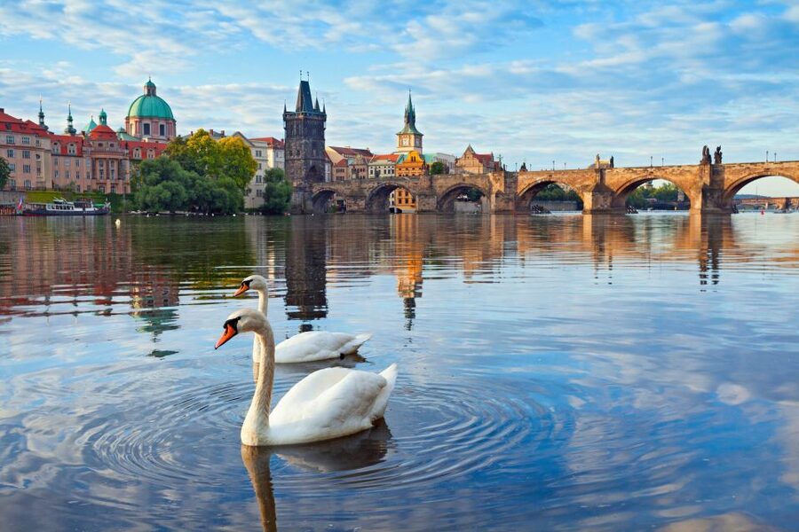 Prague : Private Walking Tour with A Guide (Private Tour) - Hotel pickup and meeting points, so you do not waste morning time