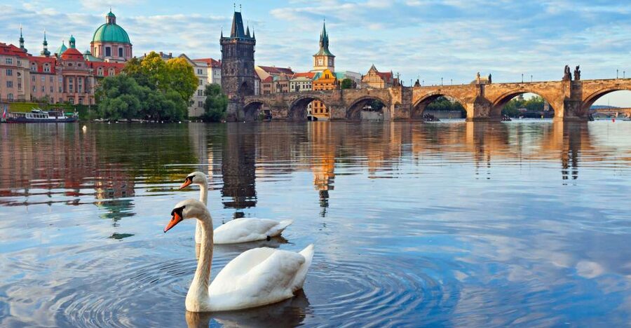 Prague : Private Walking Tour with A Guide (Private Tour) - Languages and comfort, so more people can get the most out of it