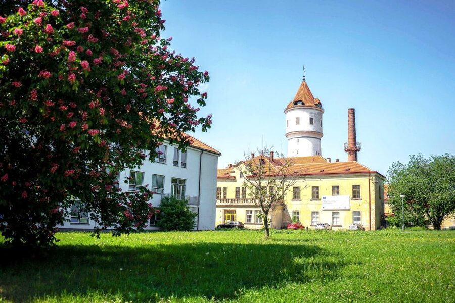Prague: Psychiatric Hospital and Abandoned Cemetery Tour - From Medieval Mystic Rituals to Lobotomies, the Psychiatry Story You Walk Through